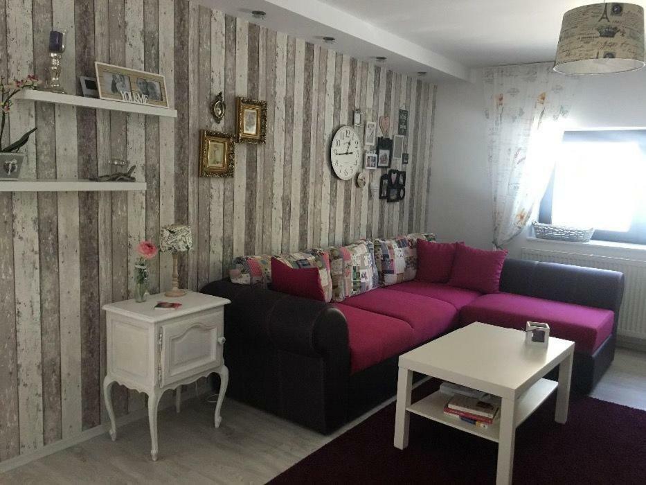 Maison Rosmina Braşov Buitenkant foto