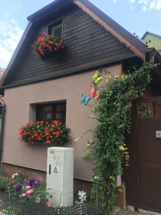 Maison Rosmina Braşov Buitenkant foto